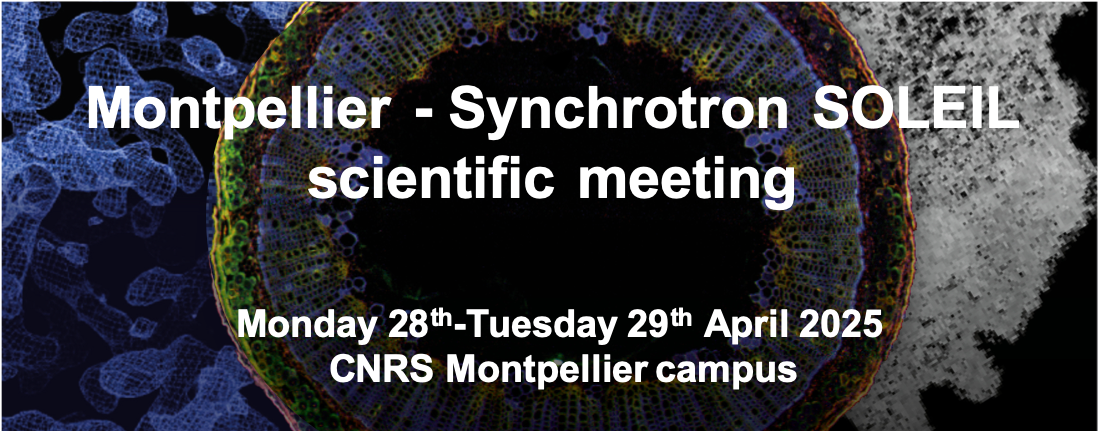 Montpellier - Synchrotron SOLEIL  scientific meeting